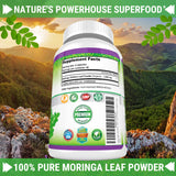 FRESH HEALTHCARE polvo de moringa en cuchara mostrando la materia prima pura