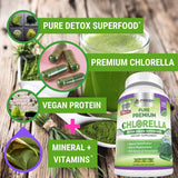 FRESH HEALTHCARE polvo de chlorella en cuenco, textura fina y pura