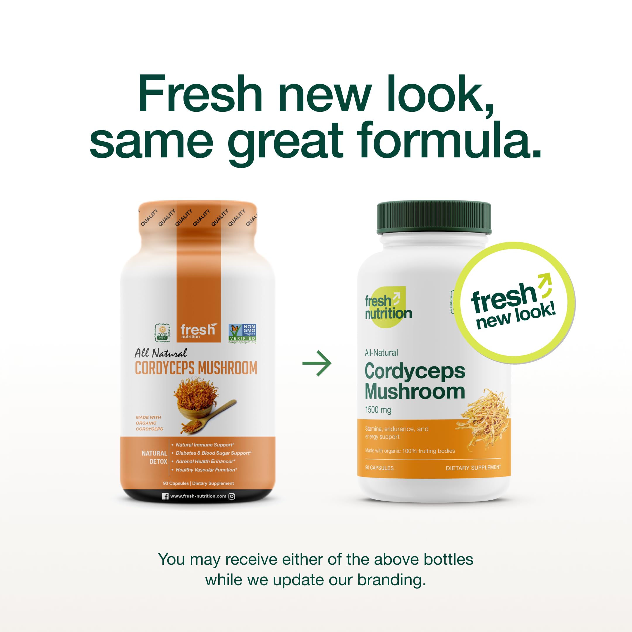 Fresh Nutrition detalle de cápsulas mostrando textura y facilidad de ingestión