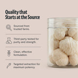 FreshCap Mushrooms frasco en mano para comparar tamaño y duración de 60 porciones