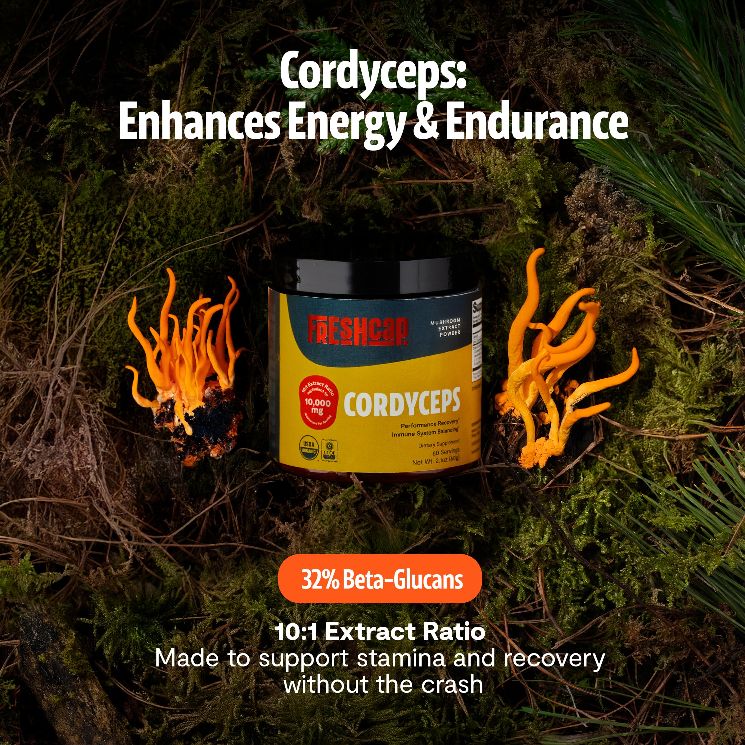 FreshCap Mushrooms polvo de Cordyceps textura fina y aspecto puro