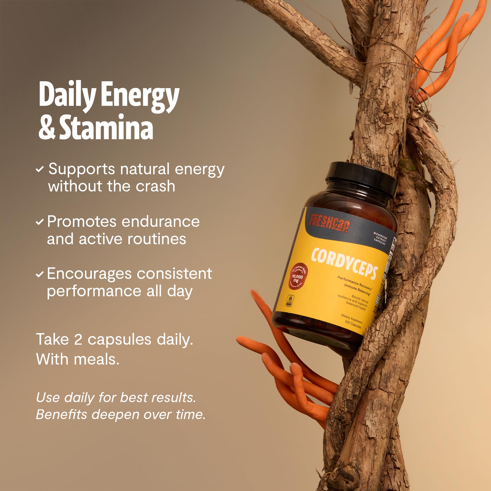 FreshCap cordyceps cuerpo fructífero como ingrediente natural