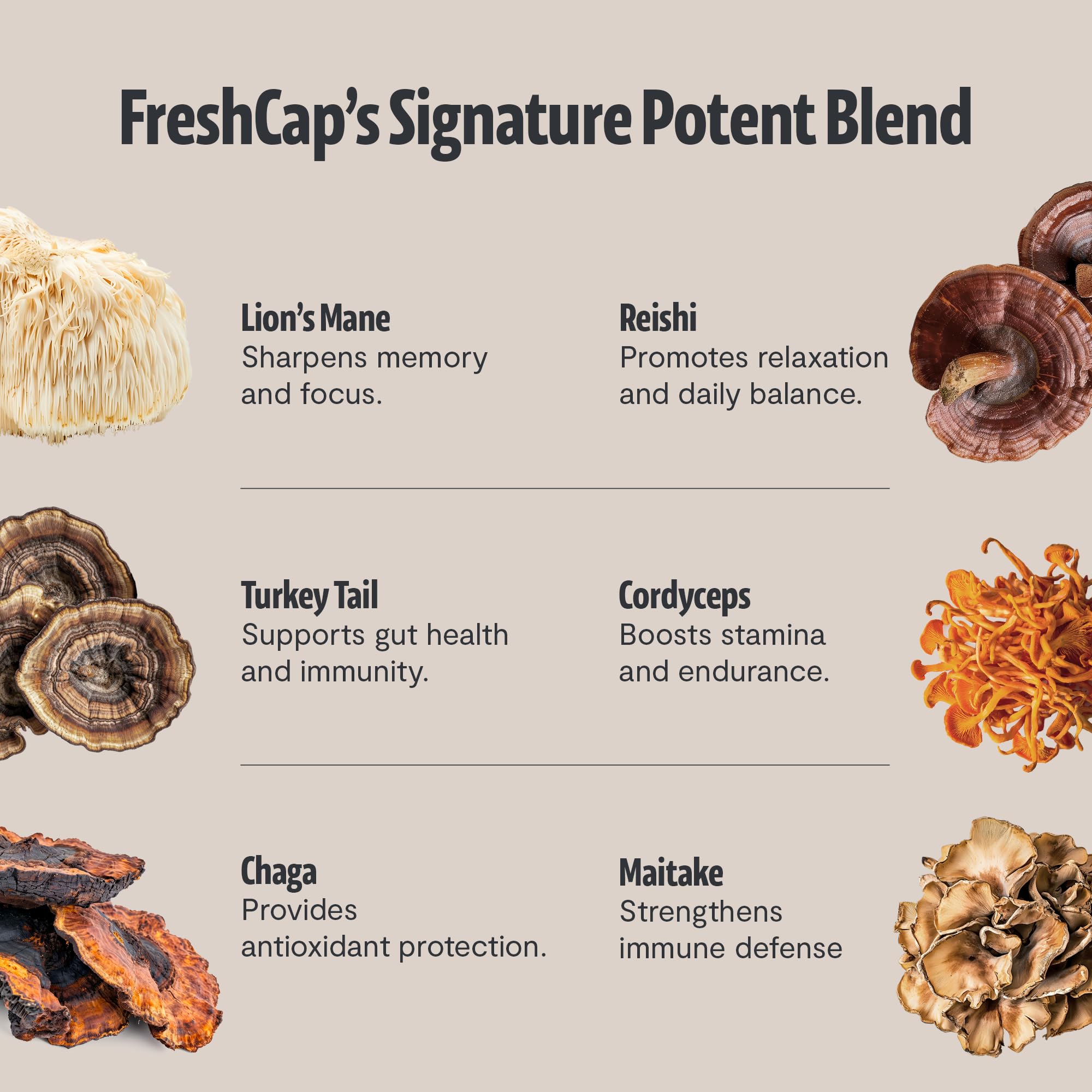 FreshCap hongos frutos frescos que ilustran cuerpos fructíferos orgánicos