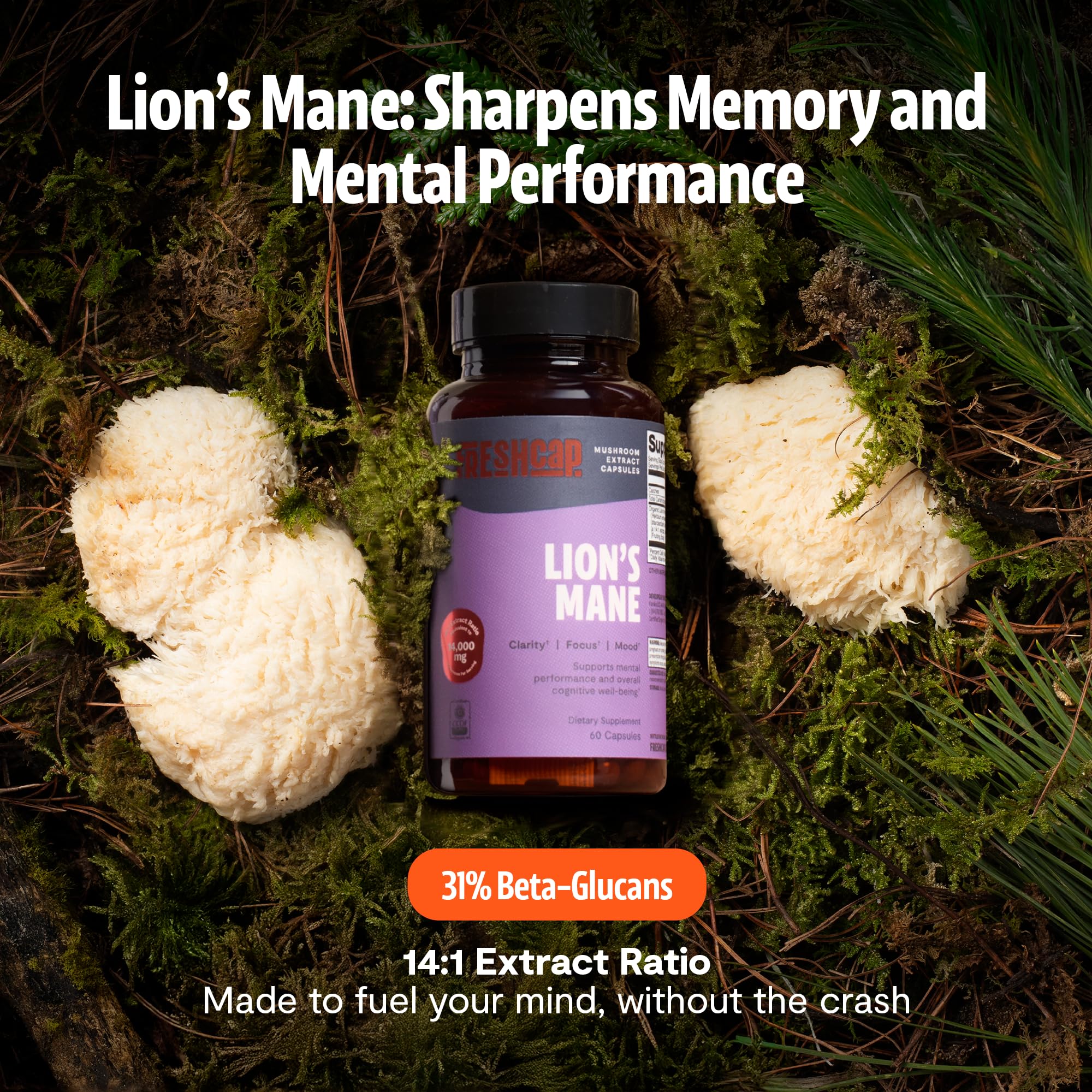 FreshCap Lions Mane cápsula en primer plano, evidencia tamaño pequeño y fácil ingesta