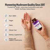 FreshCap Mushrooms cápsulas en una rutina matinal junto a café y libreta, apoyo al enfoque