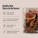 FreshCap Mushrooms ingredientes orgánicos certificados en primer plano