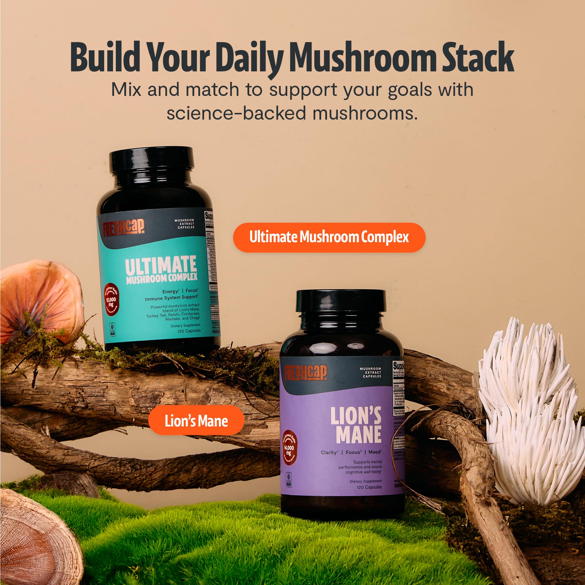 FreshCap Mushrooms ilustración de seis hongos presentes y sus beneficios