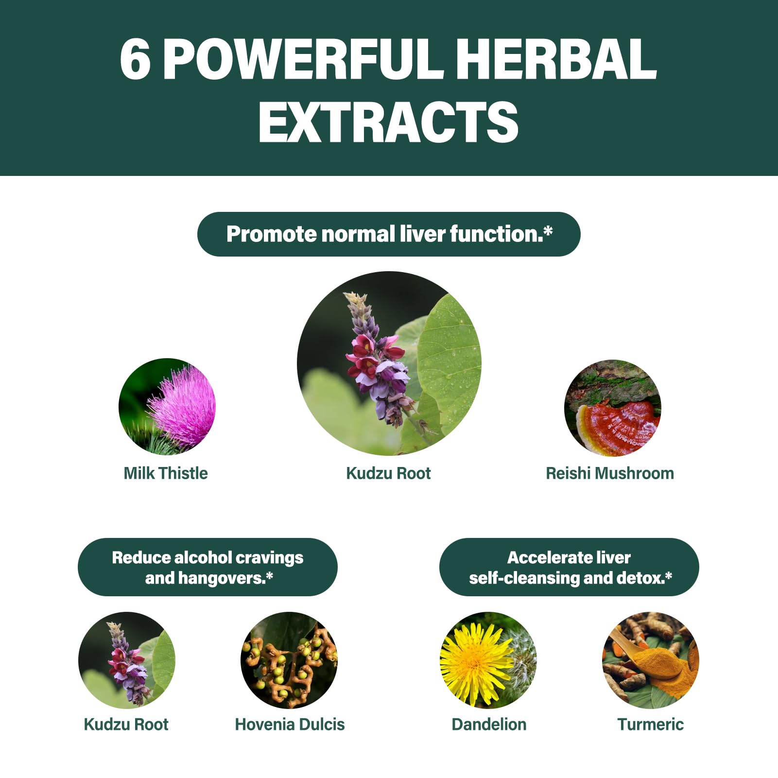 Fuenvegtal gotero con medida precisa que facilita añadir 1 ml a bebidas