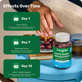 Etiqueta de ingredientes Fungies con KSM-66 y Lion's Mane claros