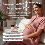 Future Kind mujer embarazada en ambiente cotidiano mostrando confianza