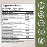 Gade Nutrition cápsulas en mano para comparar tamaño y dosificación visual