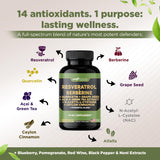 GADE NUTRITION detalle de etiqueta con lista de ingredientes clave
