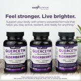 Gade Nutrition piña representando bromelina para mejor absorción de quercetina