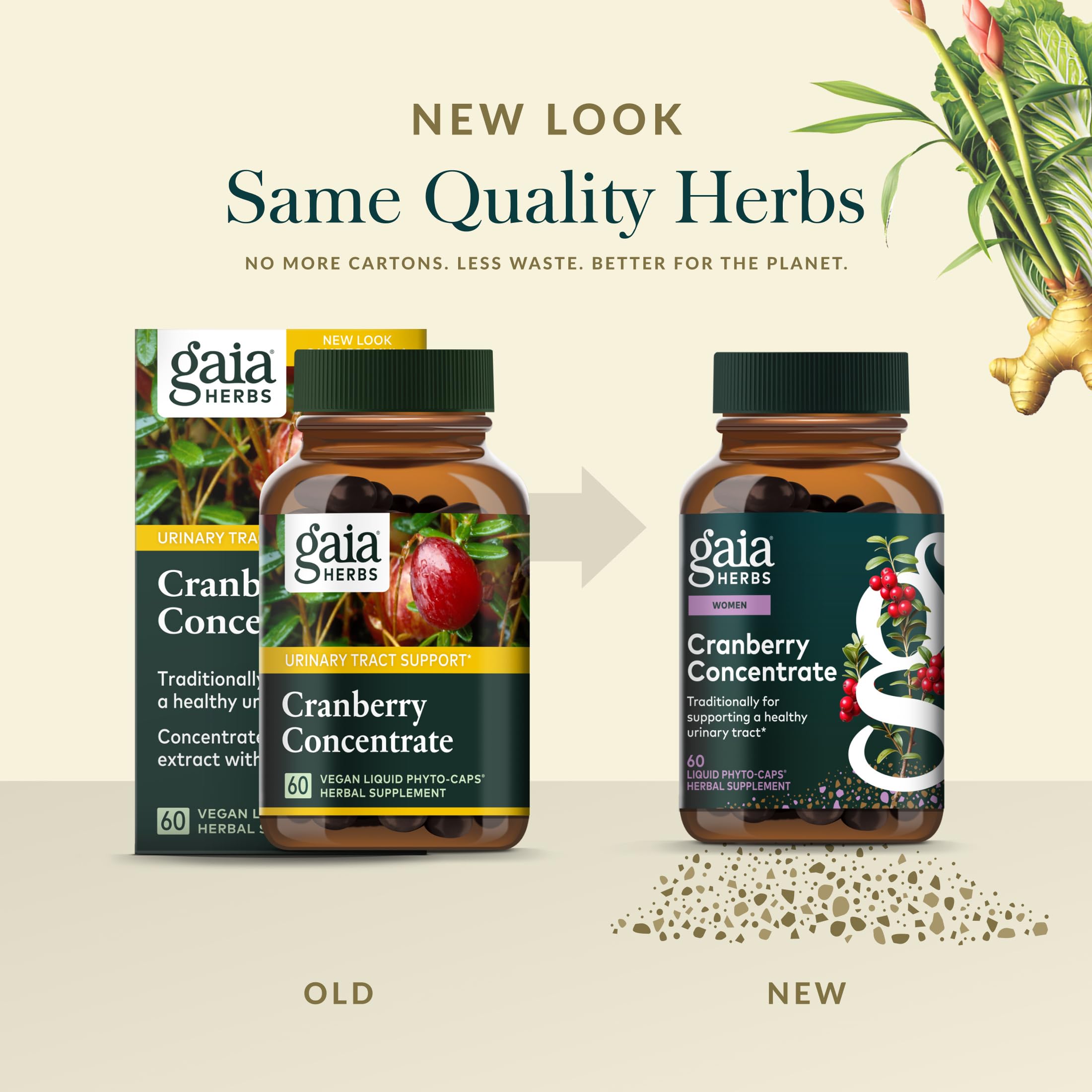 Gaia Herbs arándanos frescos que recuerdan el origen natural del concentrado