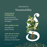 Gaia Herbs plantación en India subrayando prácticas sostenibles y proyectos locales