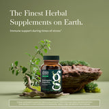 Gaia Herbs cápsulas en mano para dosificación fácil y vegana
