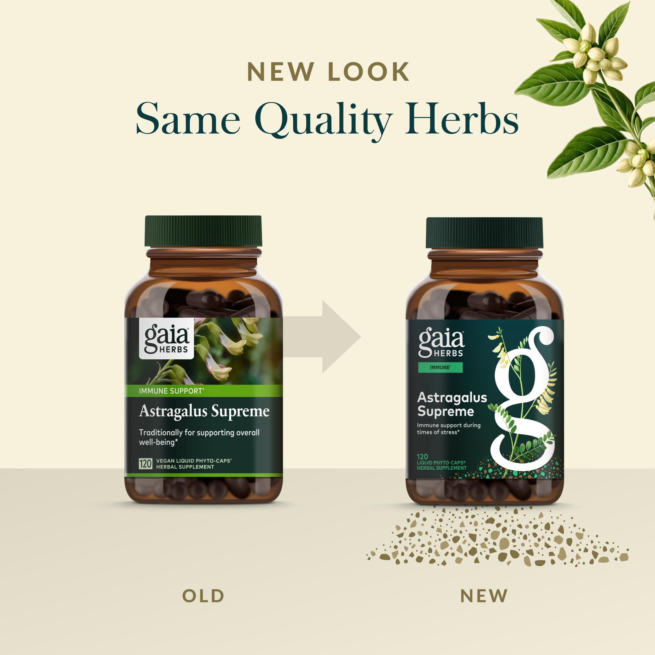 Gaia Herbs cápsula junto a una moneda para comparar tamaño