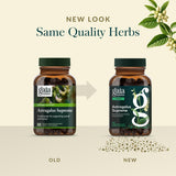 Gaia Herbs cápsula junto a una moneda para comparar tamaño