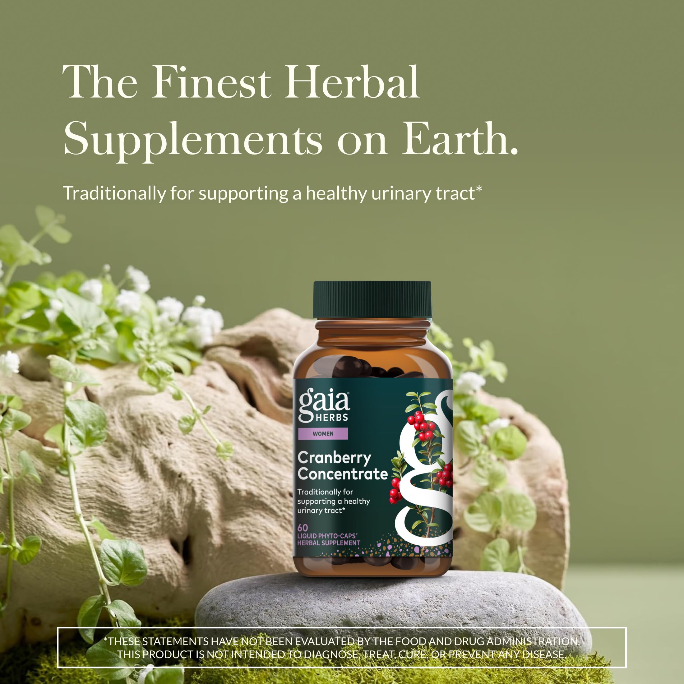 Gaia Herbs botella en primer plano enfocada en la calidad del concentrado