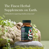 Gaia Herbs botella en primer plano enfocada en la calidad del concentrado