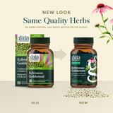 Gaia Herbs cápsula abierta mostrando contenido fitoactivo y absorción