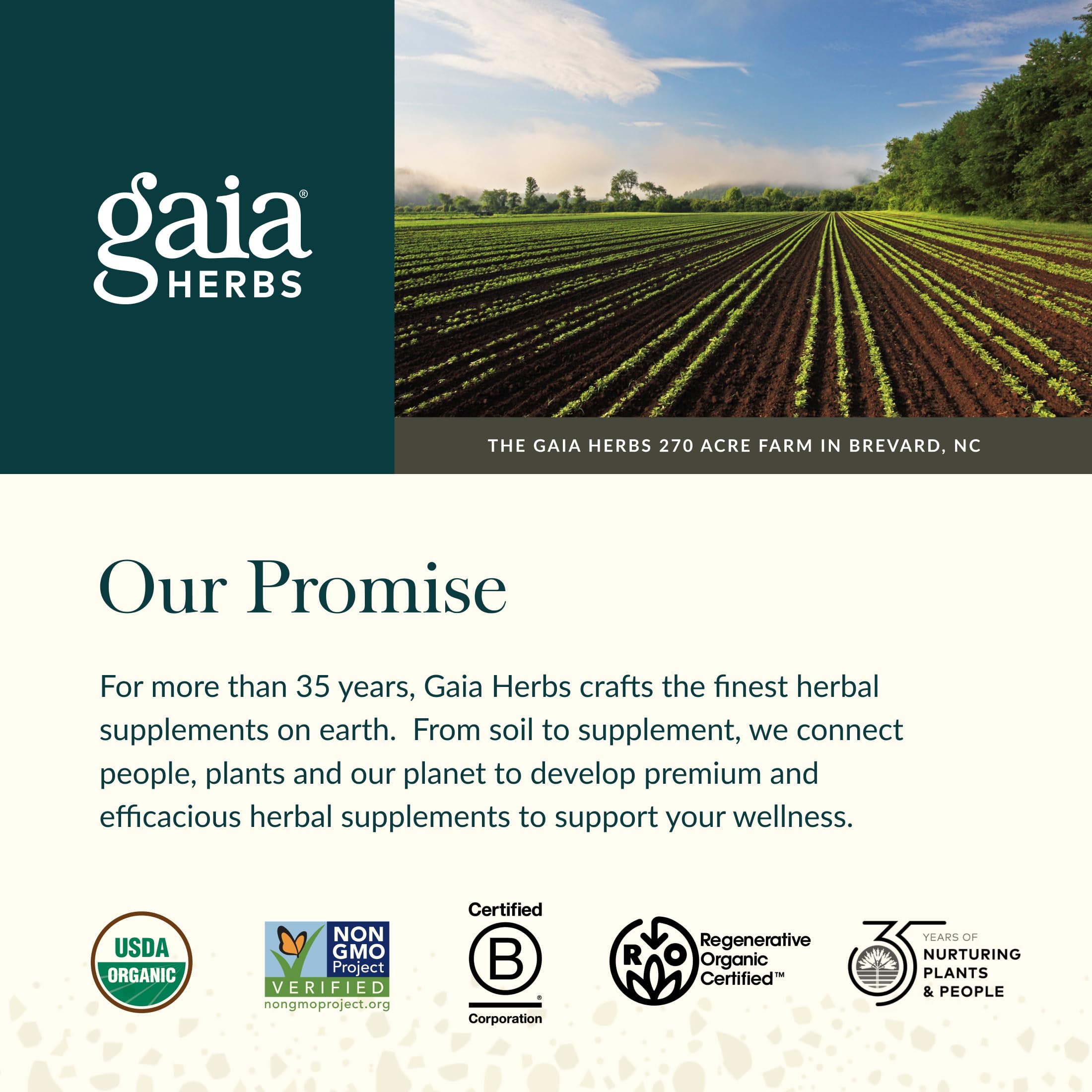 Gaia Herbs cápsula junto a moneda para comparar tamaño y dosificación