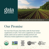 Gaia Herbs cápsula junto a moneda para comparar tamaño y dosificación