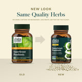 Gaia Herbs cápsula junto a una moneda para comparar tamaño y dosificación