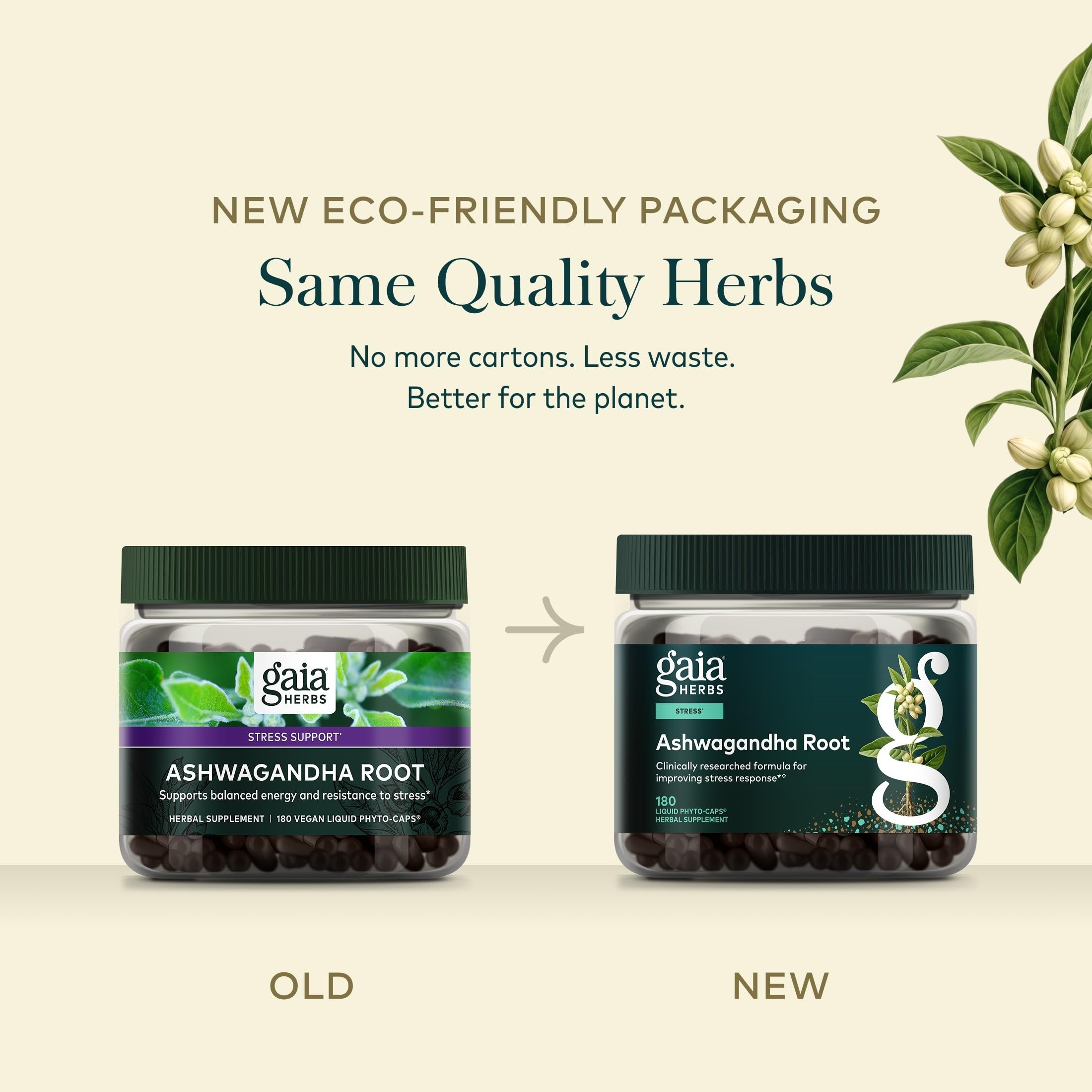 Gaia Herbs comparación de tamaño del frasco para referencia práctica