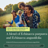 Gaia Herbs ingredientes orgánicos mostrados para enfatizar sostenibilidad