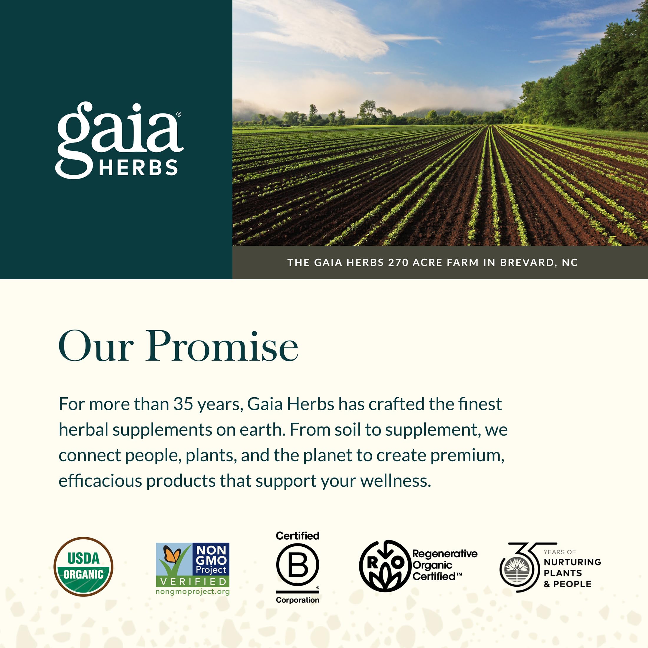 Gaia Herbs mano sosteniendo cápsula para facilitar la dosis diaria