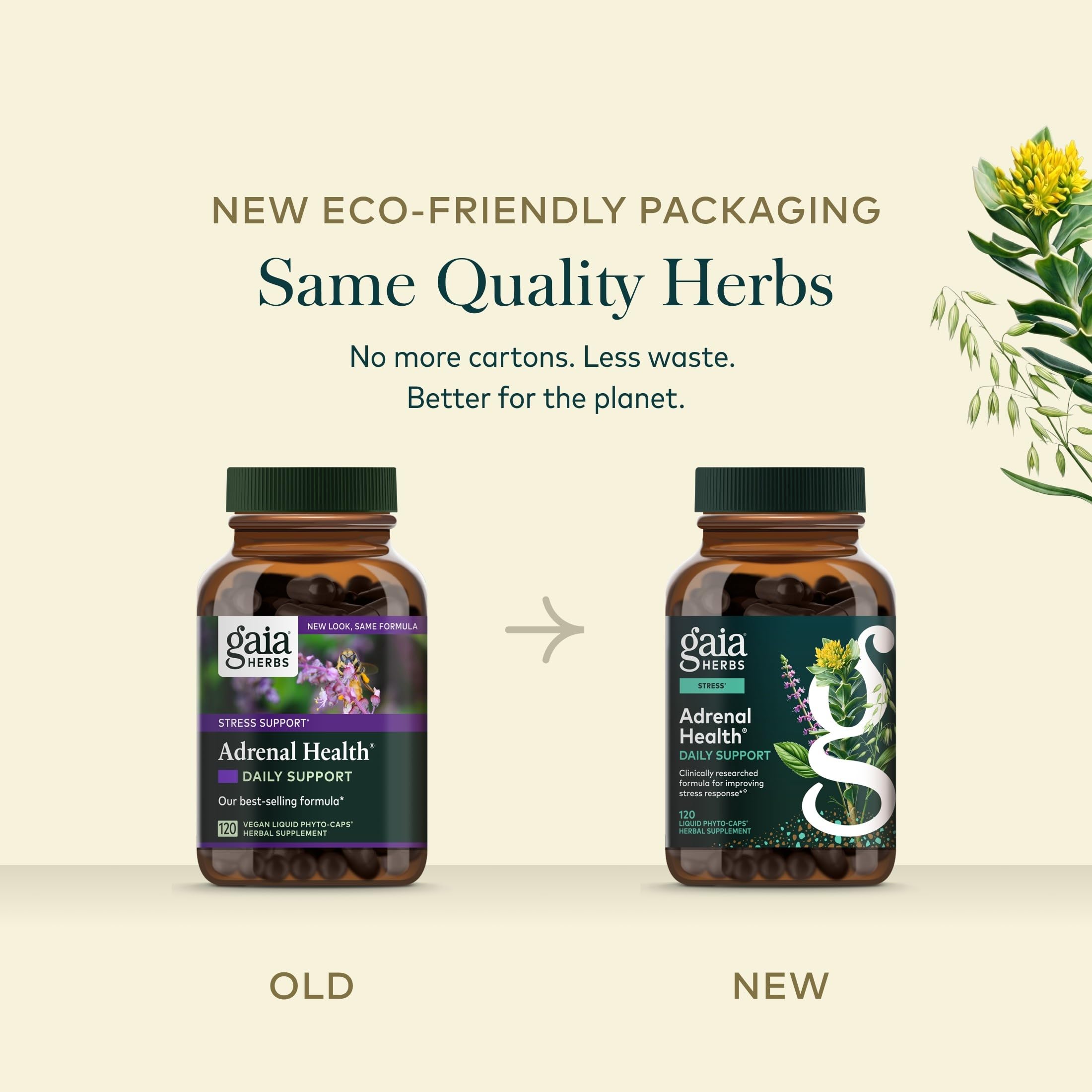 Gaia Herbs envase abierto con cápsulas visibles y aspecto confiable