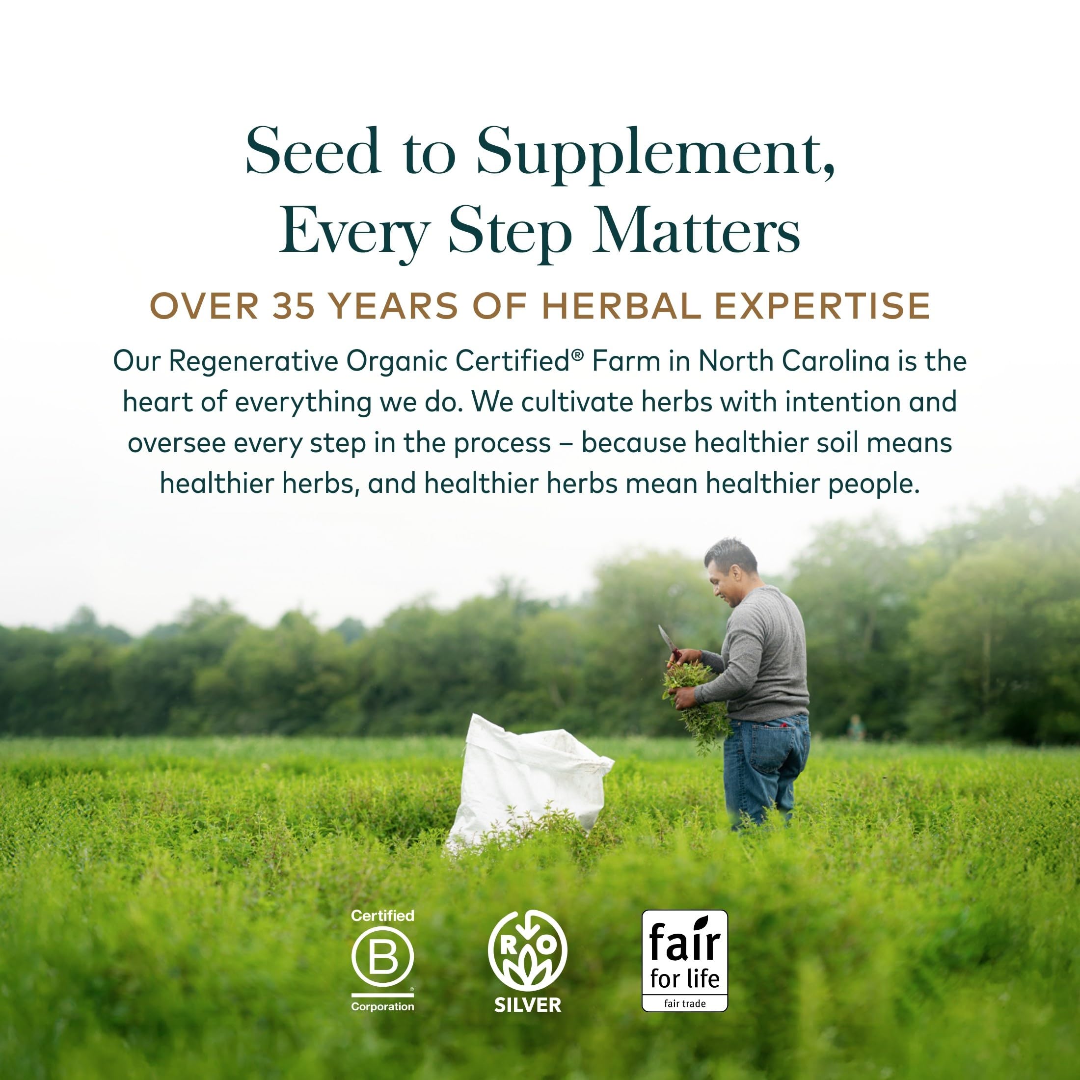 Gaia Herbs producto sobre escritorio para representar uso diario y bienestar
