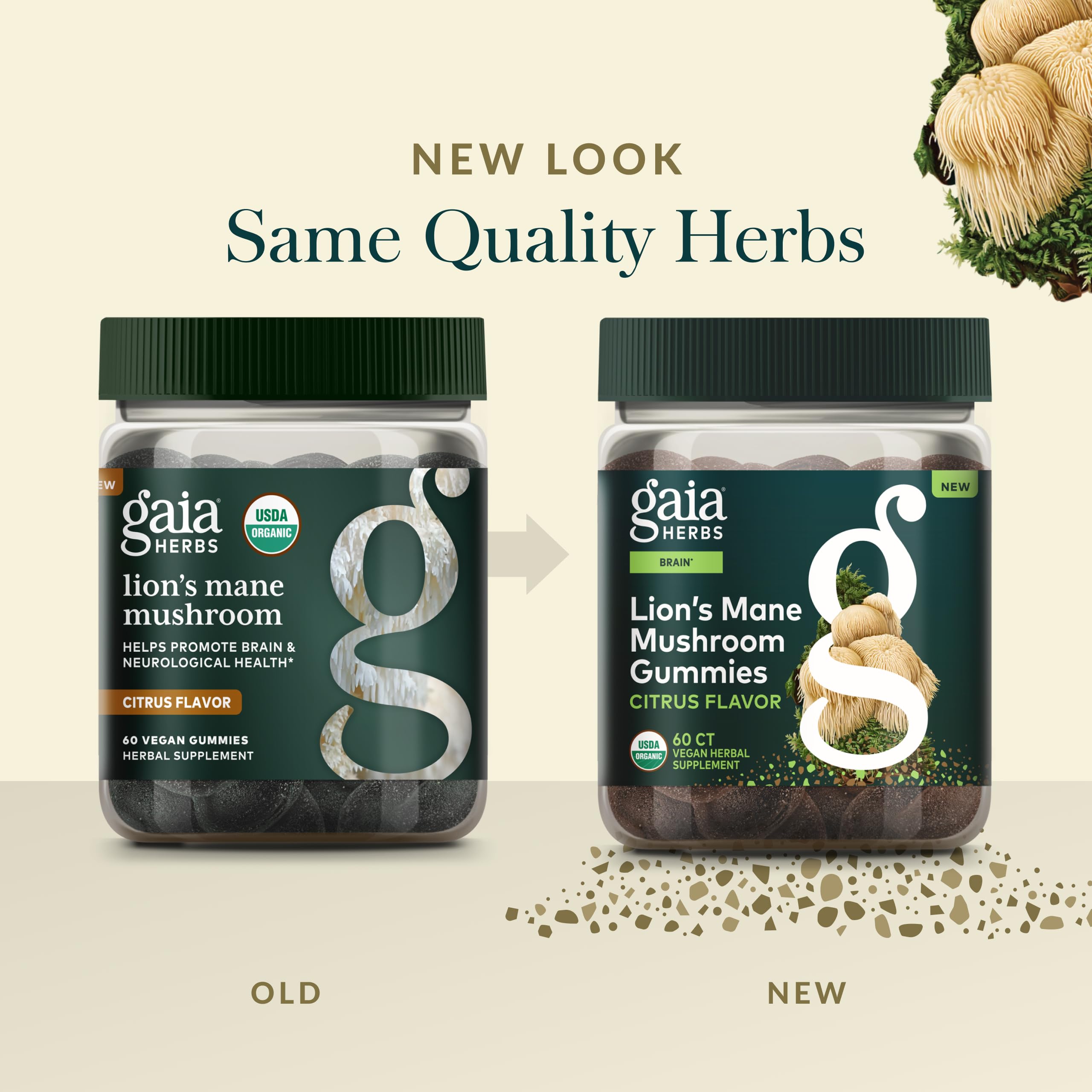 Gomas Gaia Herbs junto a un desayuno equilibrado resaltando integración diaria