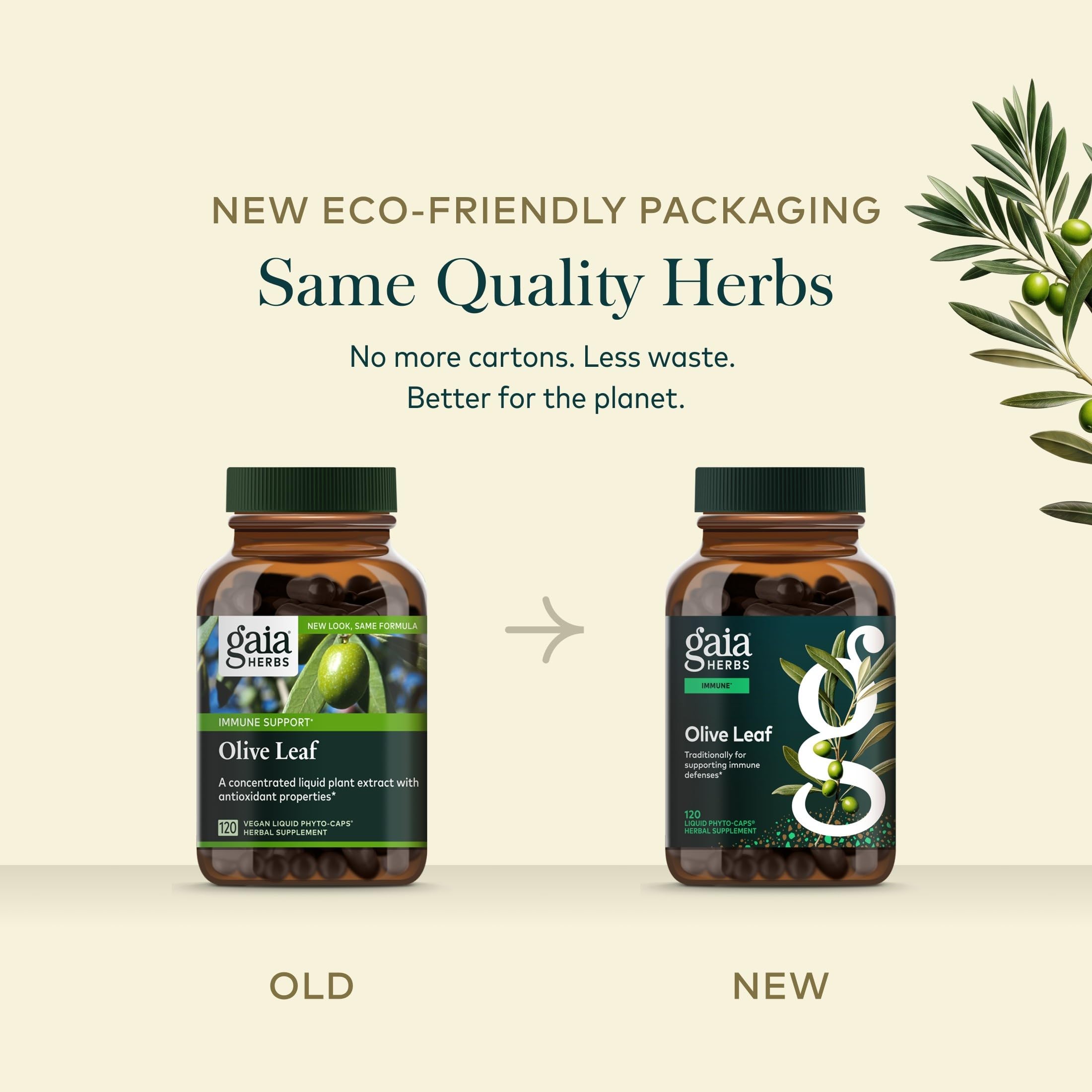 Gaia Herbs olivares españoles centenarios que garantizan trazabilidad