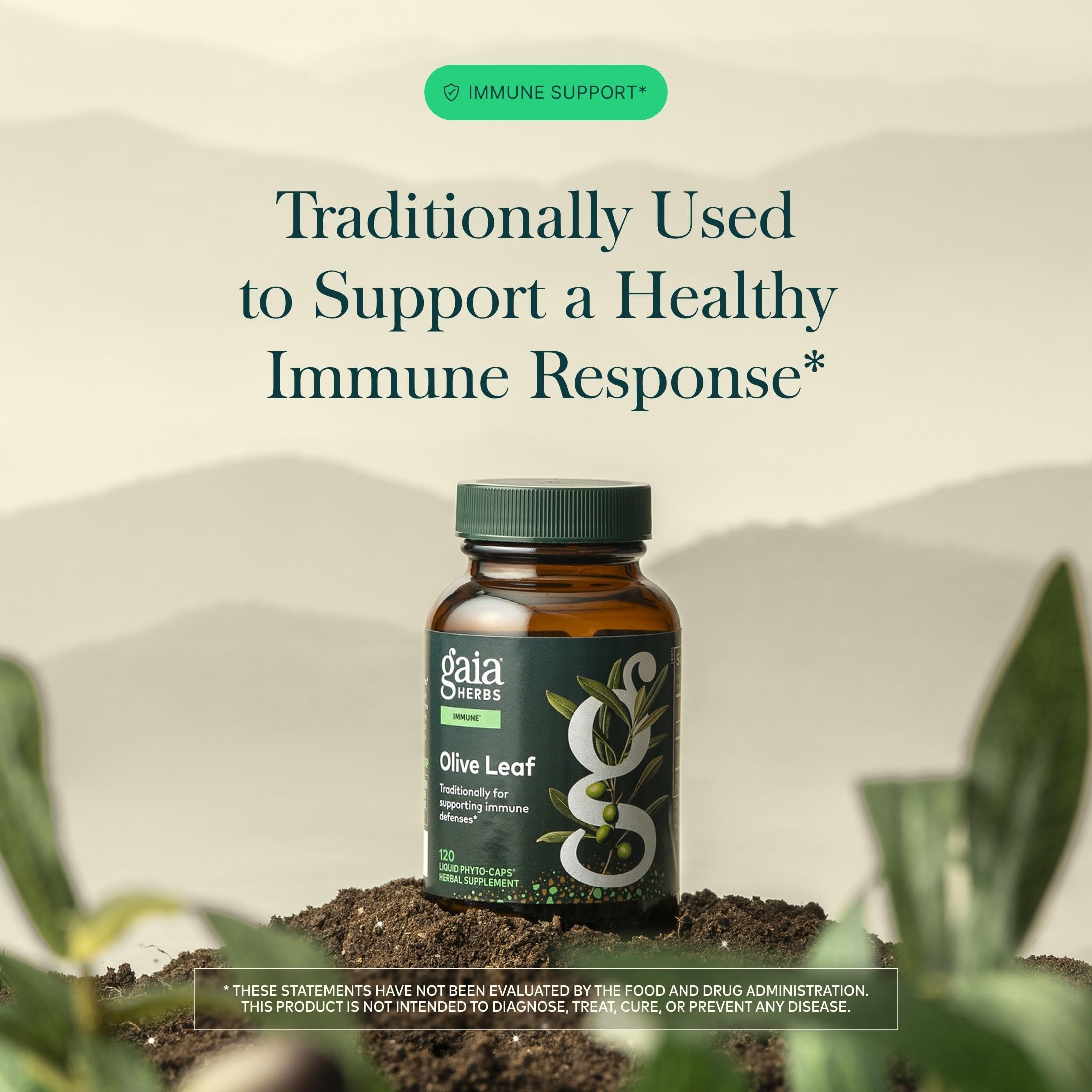 Gaia Herbs detalle del extracto resaltando oleuropeína y concentración