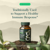 Gaia Herbs detalle del extracto resaltando oleuropeína y concentración