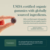 Gaia Herbs canela, jengibre y frutas que resaltan ingredientes naturales