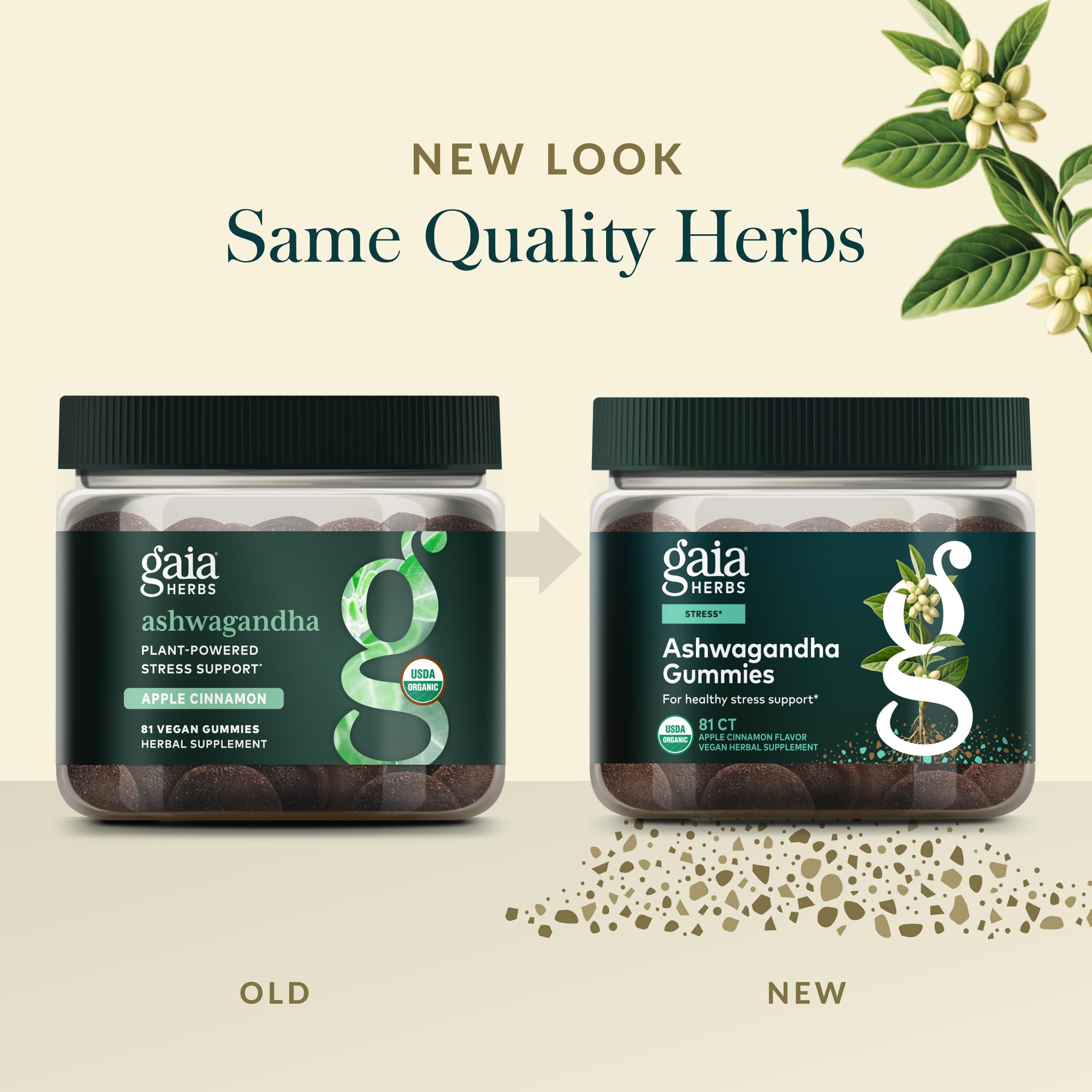 Gaia Herbs canela y jengibre junto a gomitas, sabor natural