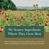 Gaia Herbs ingredientes naturales reunidos evidenciando abastecimiento responsable