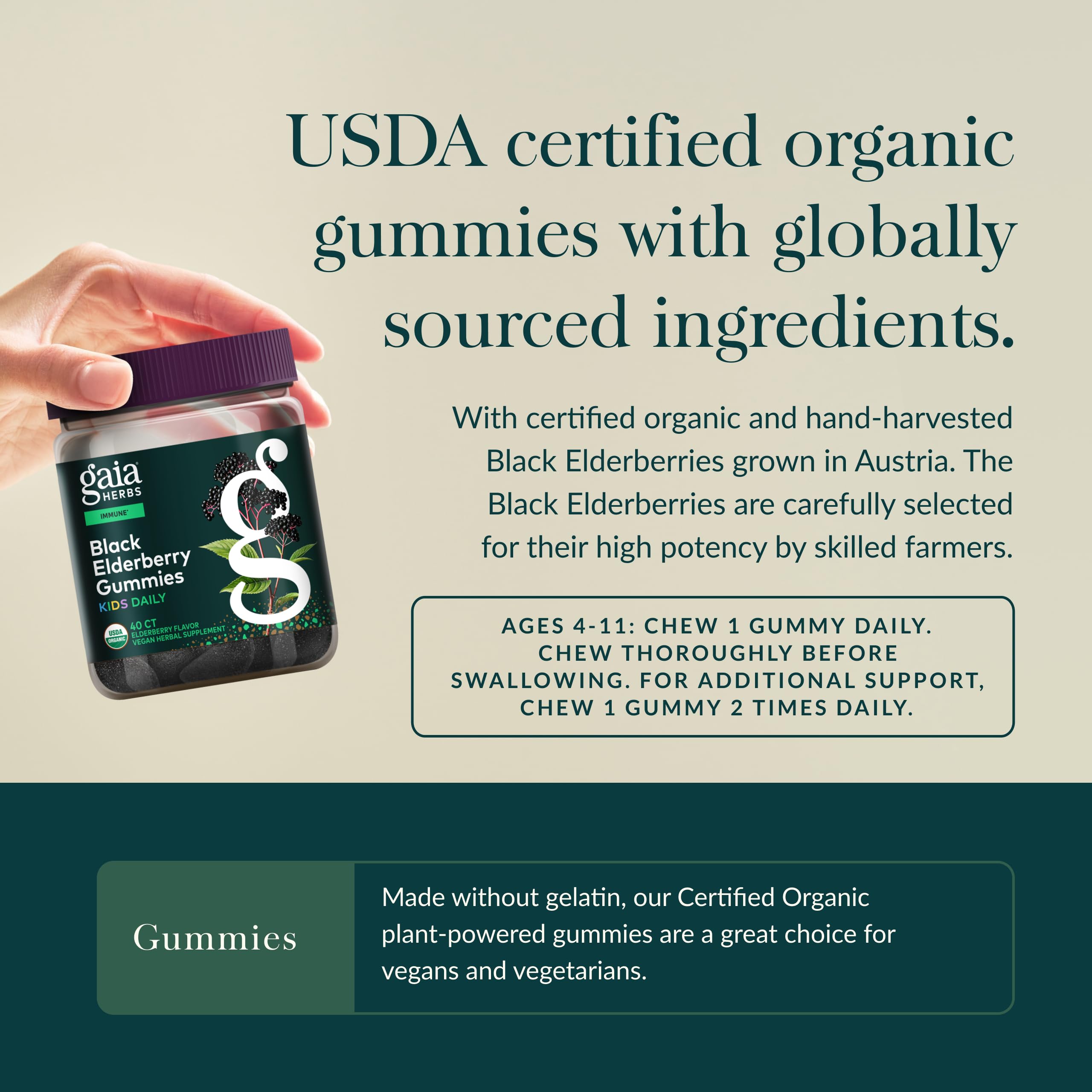 Gaia Herbs bayas de saúco negro orgánico, destaca origen certificado