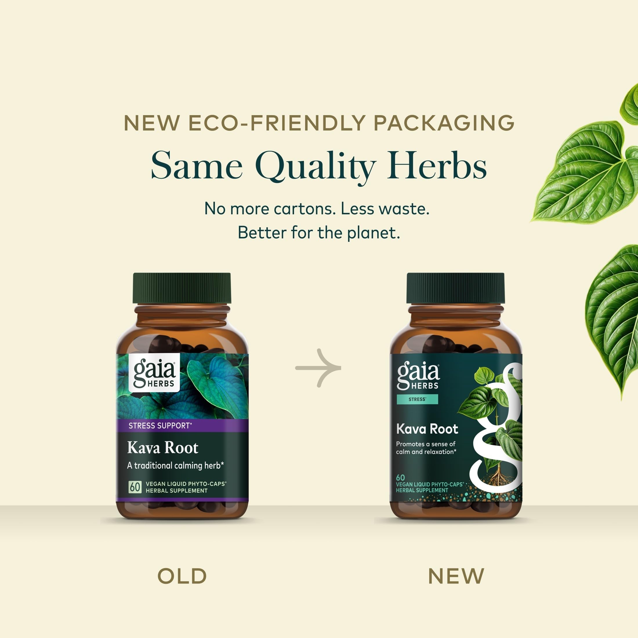 Gaia Herbs campo de kava donde se cultivan los cultivares nobles