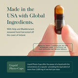 Gaia Herbs kelp cosechado en Irlanda, fuente natural de minerales