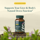 Gaia Herbs polvo de extracto mostrando textura y pureza
