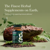 Gaia Herbs cápsula vegana abierta detalle del contenido líquido y firmeza