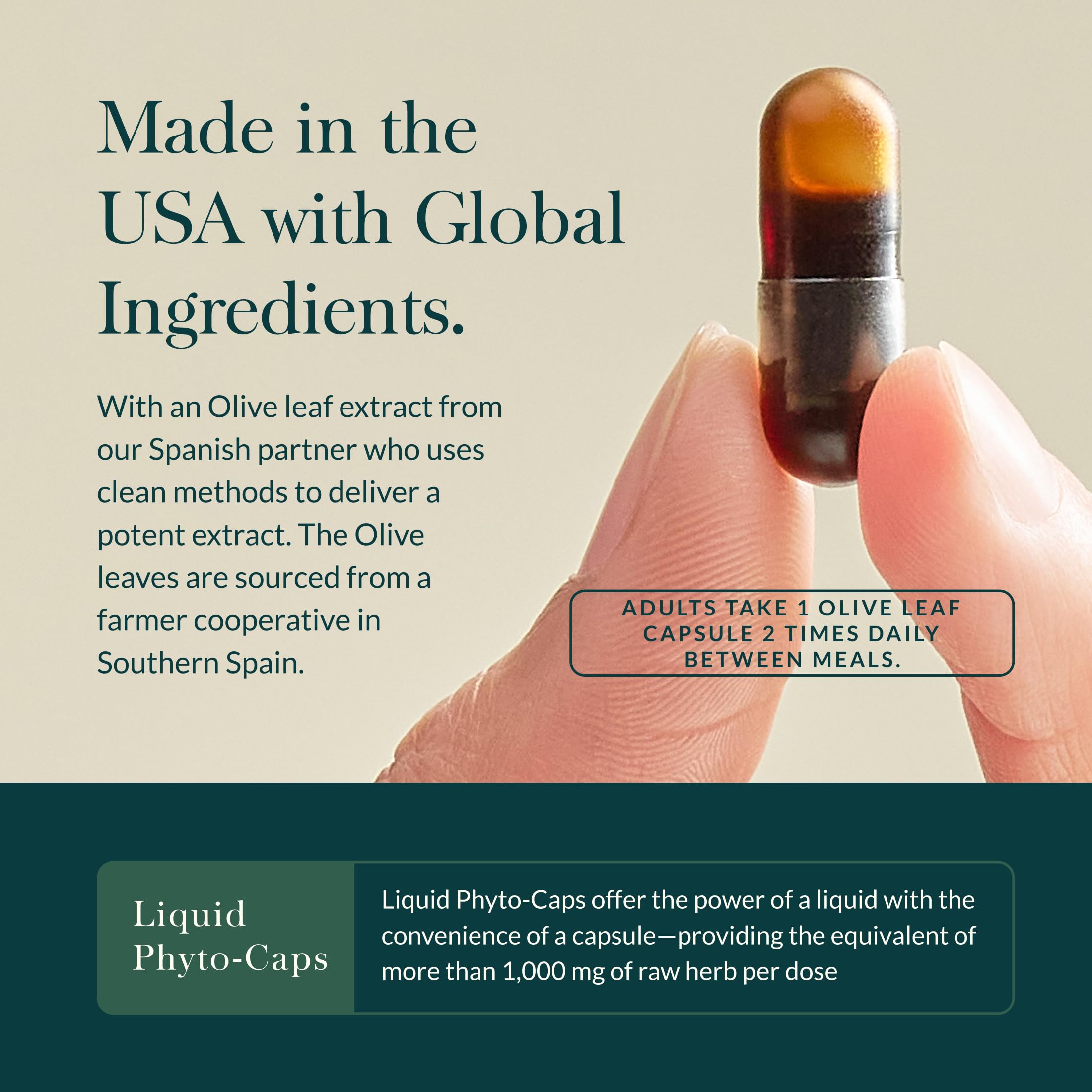 Gaia Herbs etiqueta con información y estandarización de oleuropeína visible