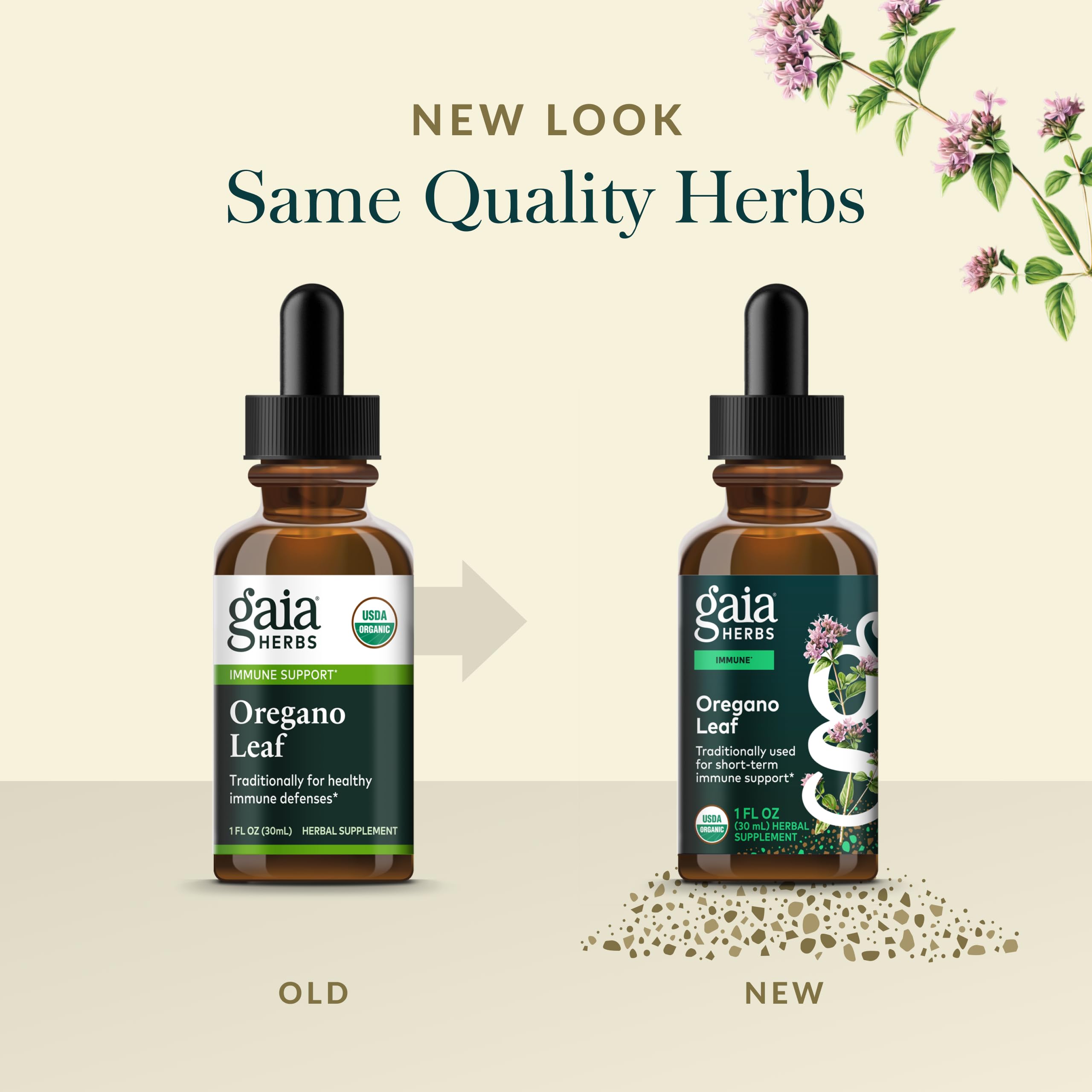 Hojas de orégano en plantación que ilustran cultivo orgánico de Gaia Herbs