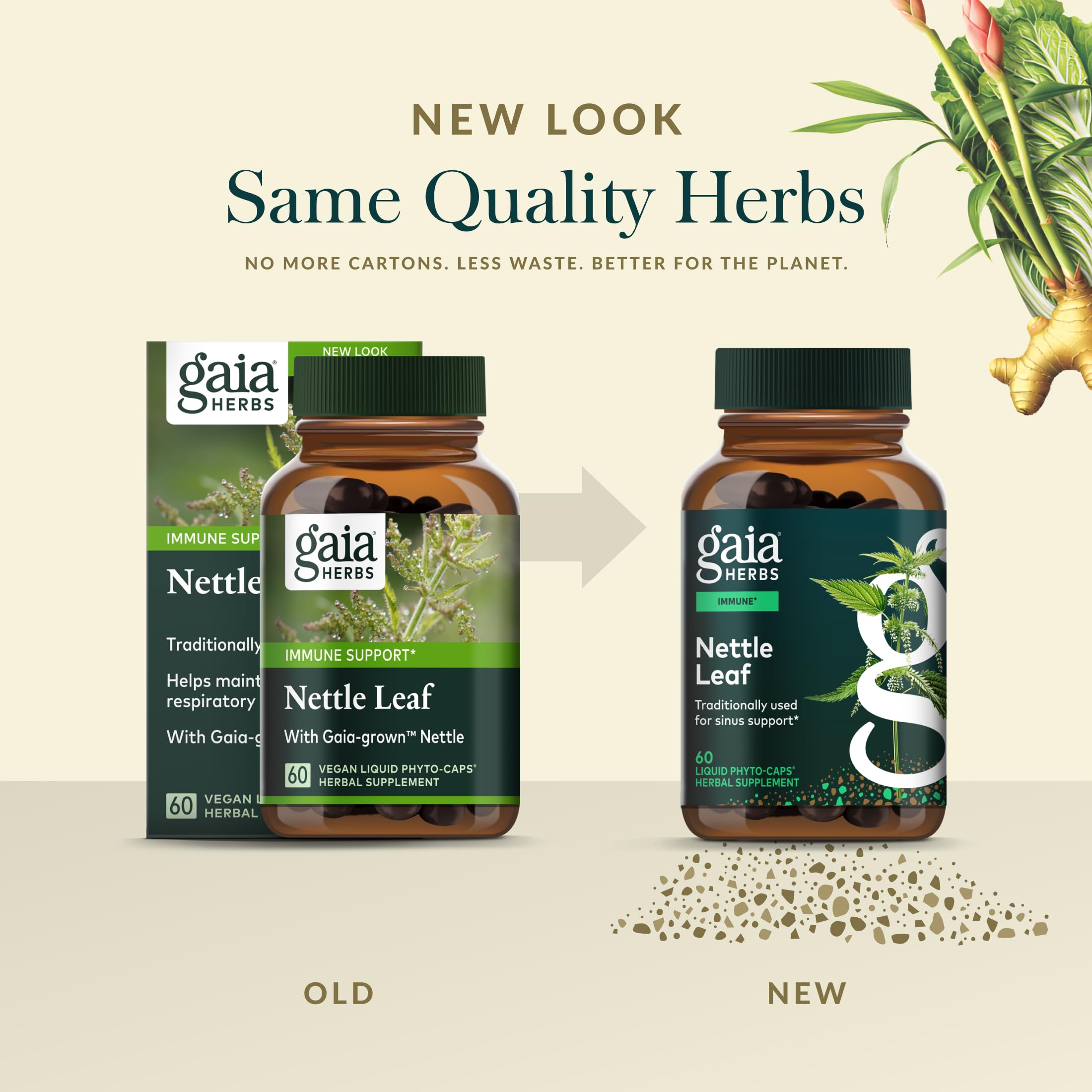 Escena en cocina con Gaia Herbs Nettle Leaf cerca de alimentos saludables