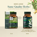 Escena en cocina con Gaia Herbs Nettle Leaf cerca de alimentos saludables