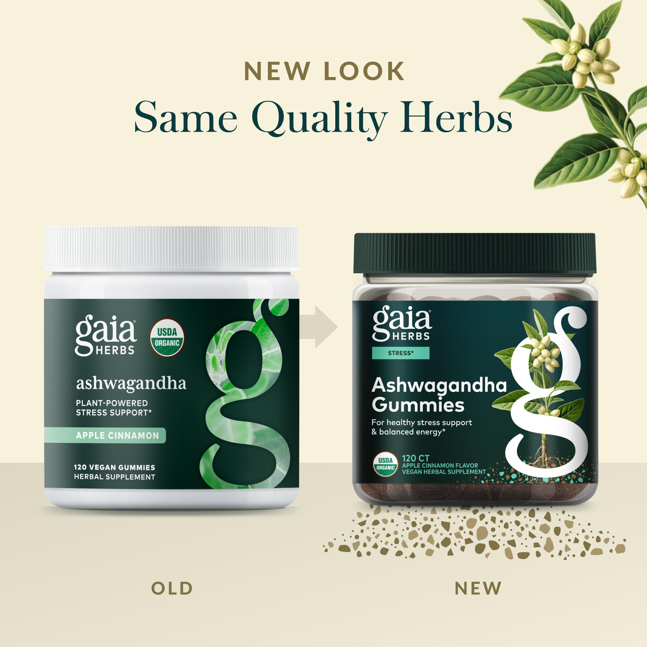 Gaia Herbs persona disfrutando una gomita facilitando la toma diaria